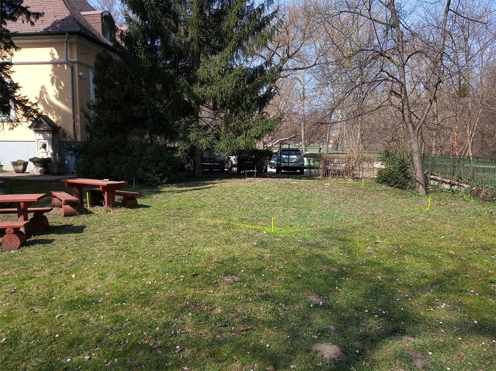 Zenepav1